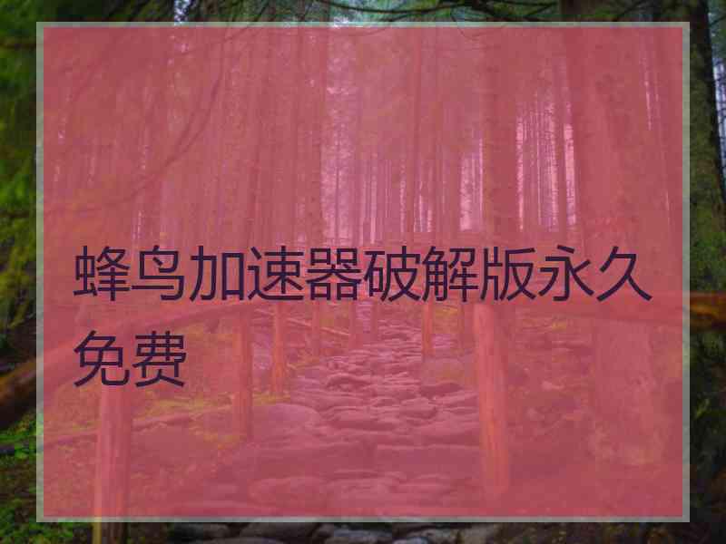 蜂鸟加速器破解版永久免费