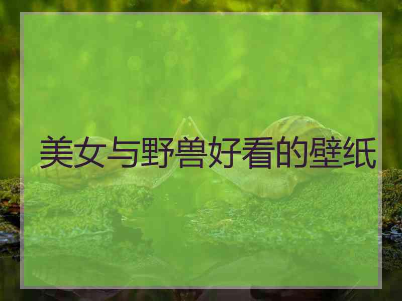 美女与野兽好看的壁纸