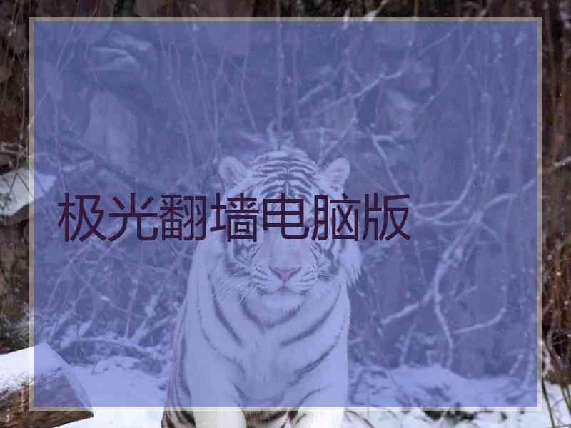 极光翻墙电脑版