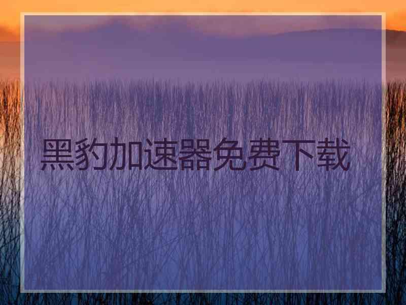 黑豹加速器免费下载