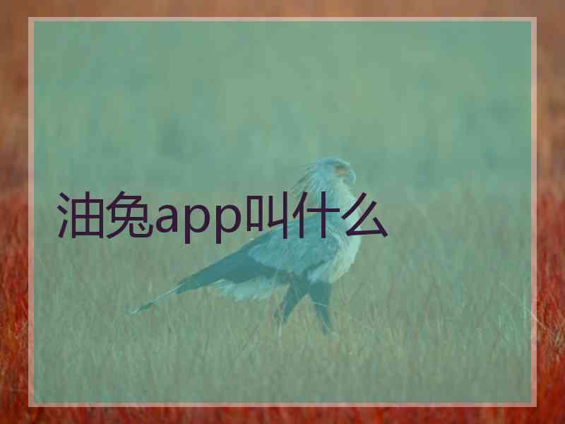 油兔app叫什么