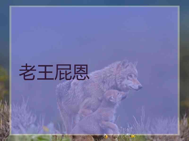 老王屁恩