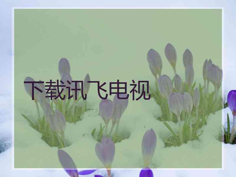 下载讯飞电视