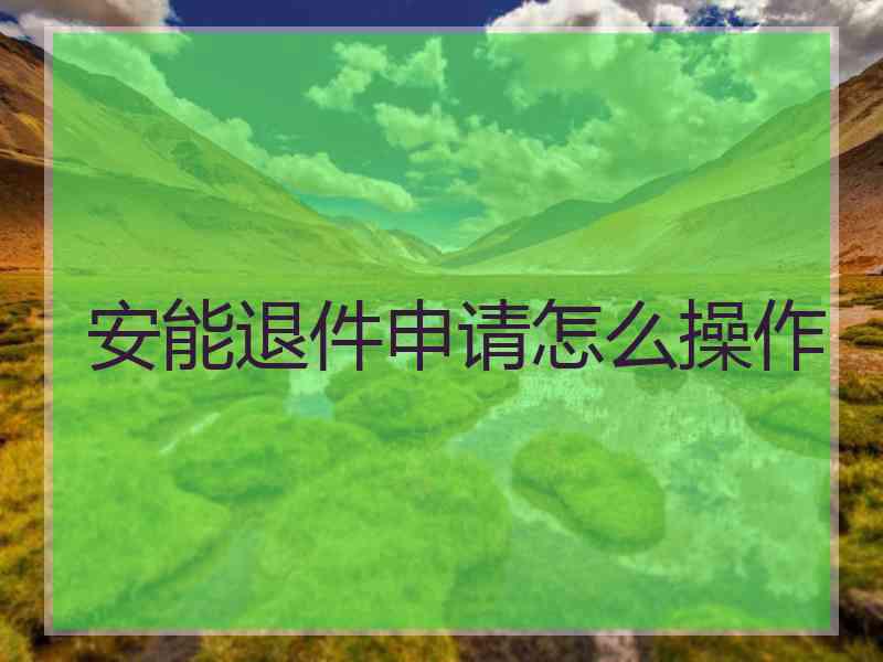安能退件申请怎么操作
